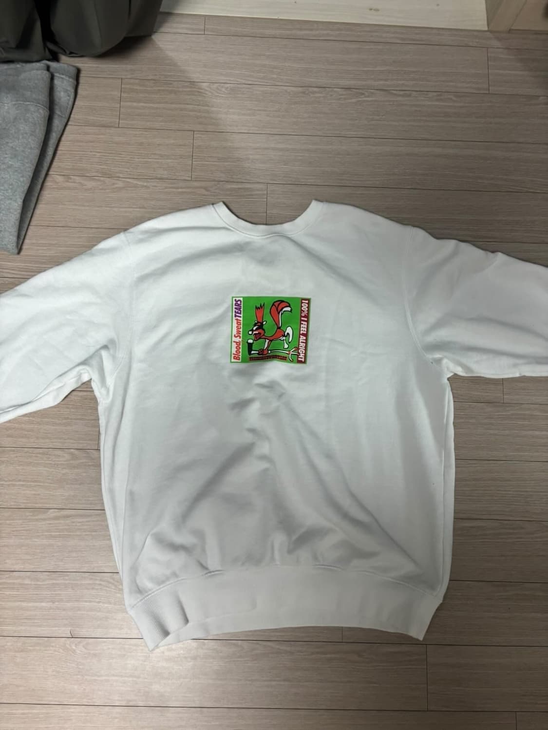 디스이즈네버뎃 맨투맨 상품이미지1
