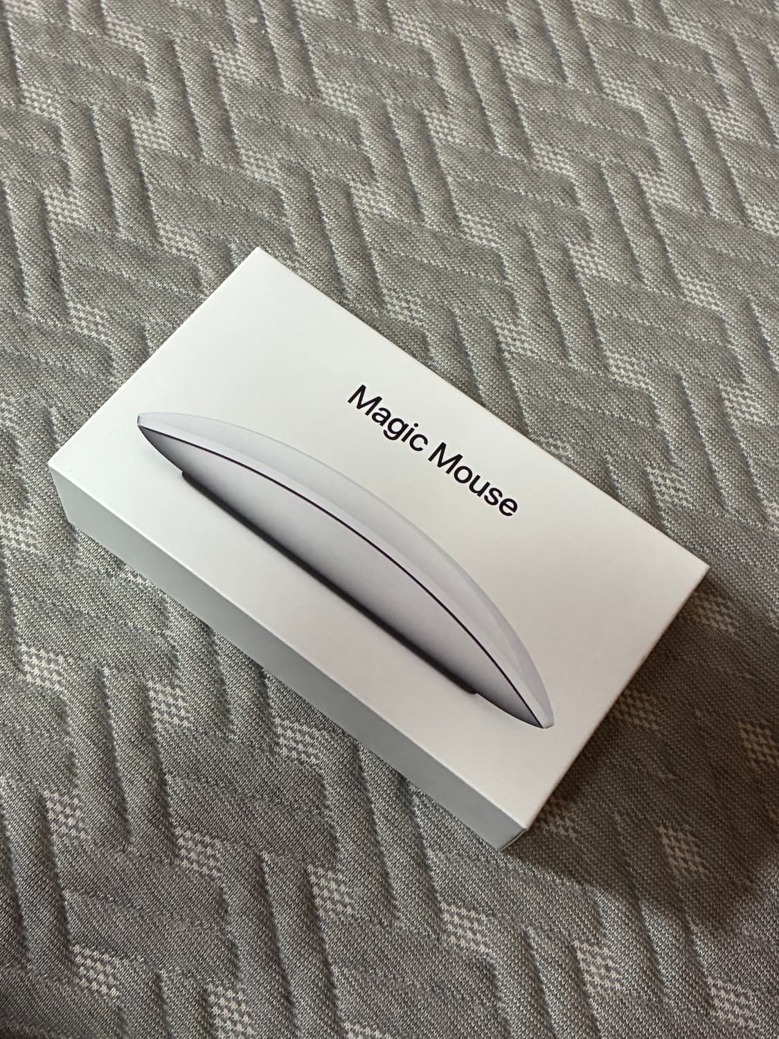 Apple Magic Mouse 2 상품이미지3