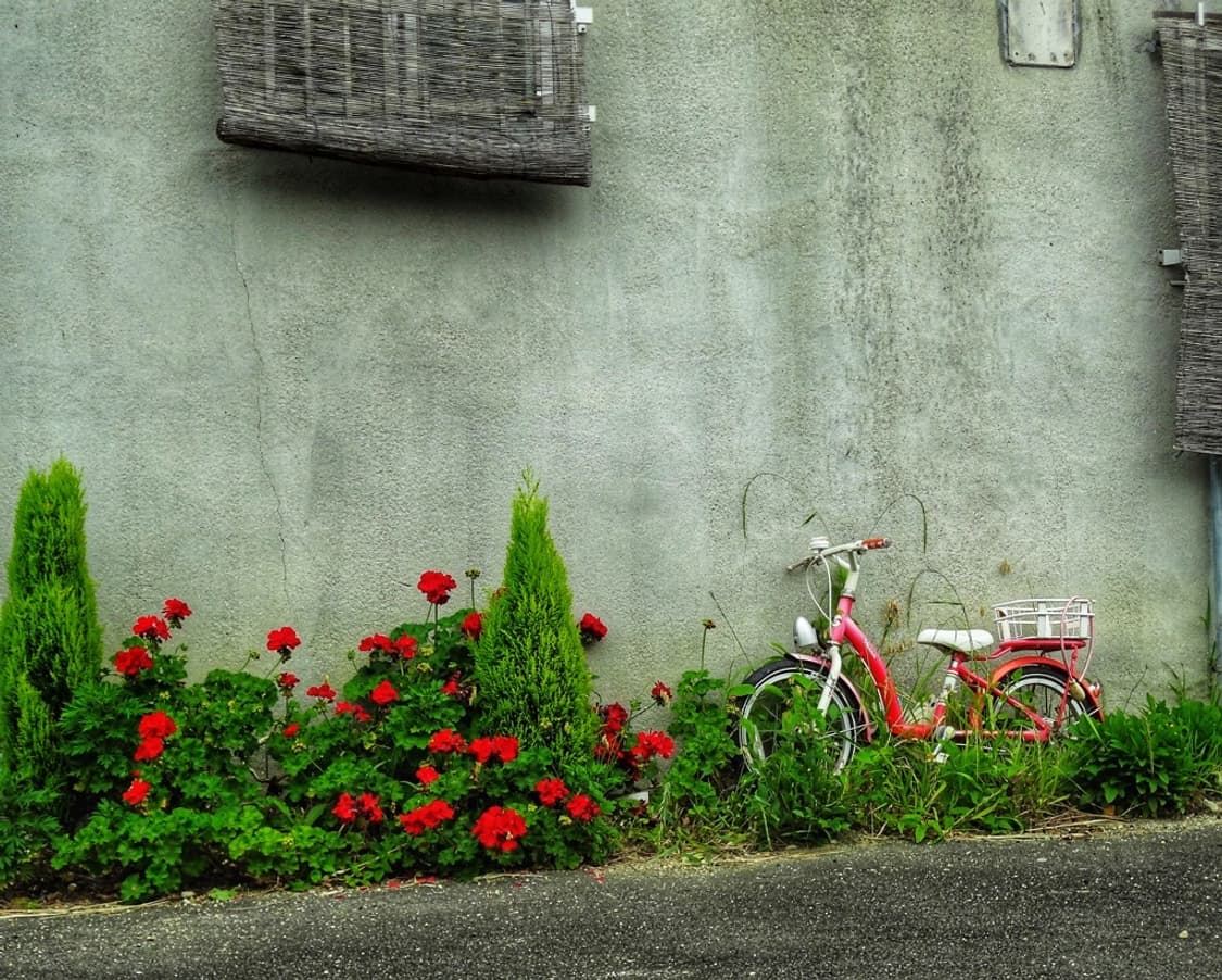 민트급💜　소니 사이버샷 DSC-WX7  빈티디디카 상품이미지9