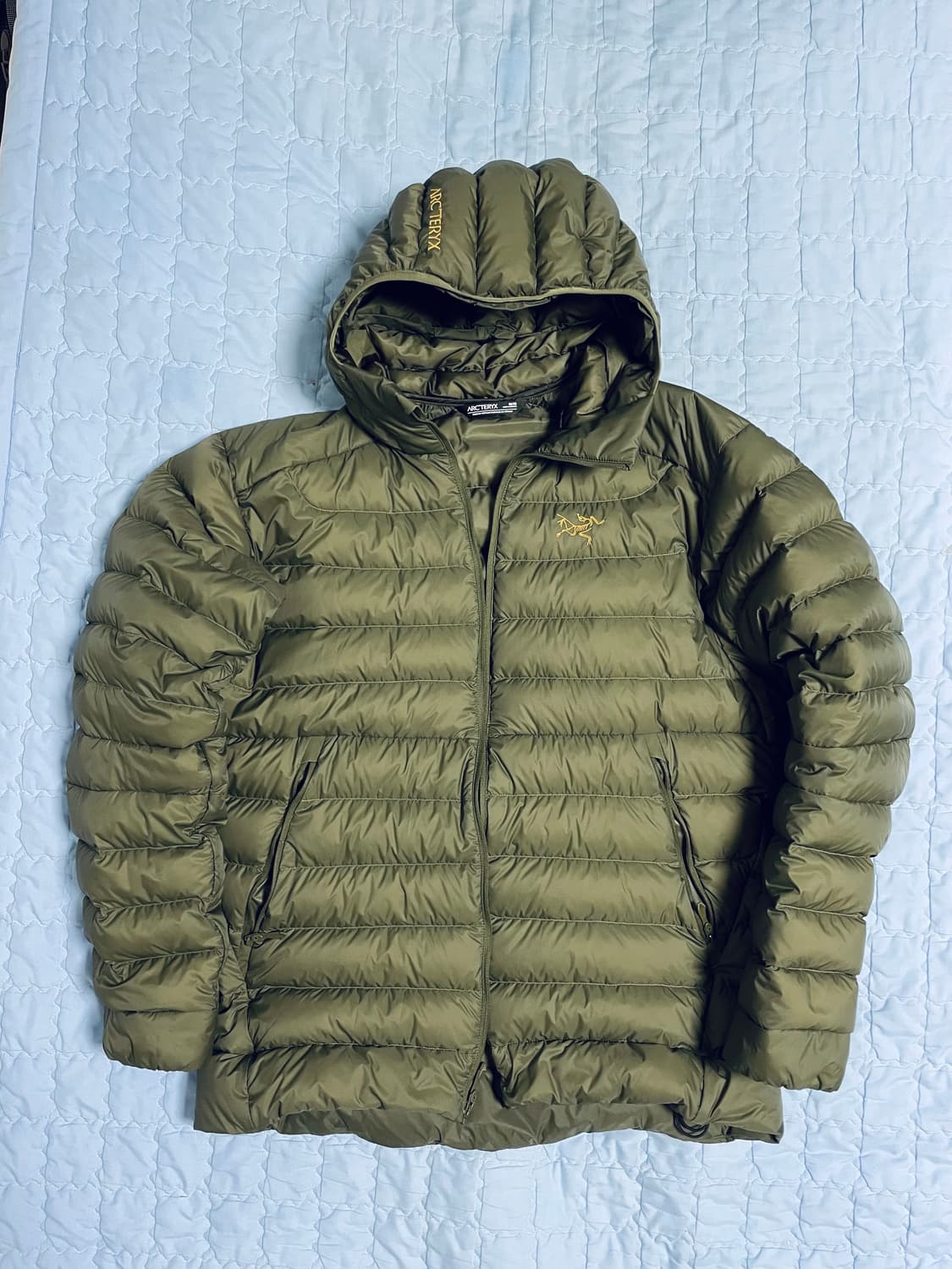 아크테릭스 세륨 후디 타츠 상품이미지5