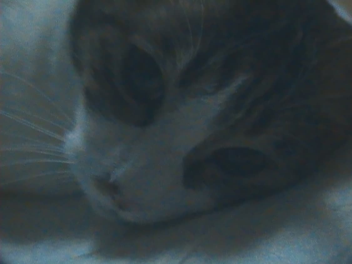 삼성 캠코더 / 디카 상품이미지9