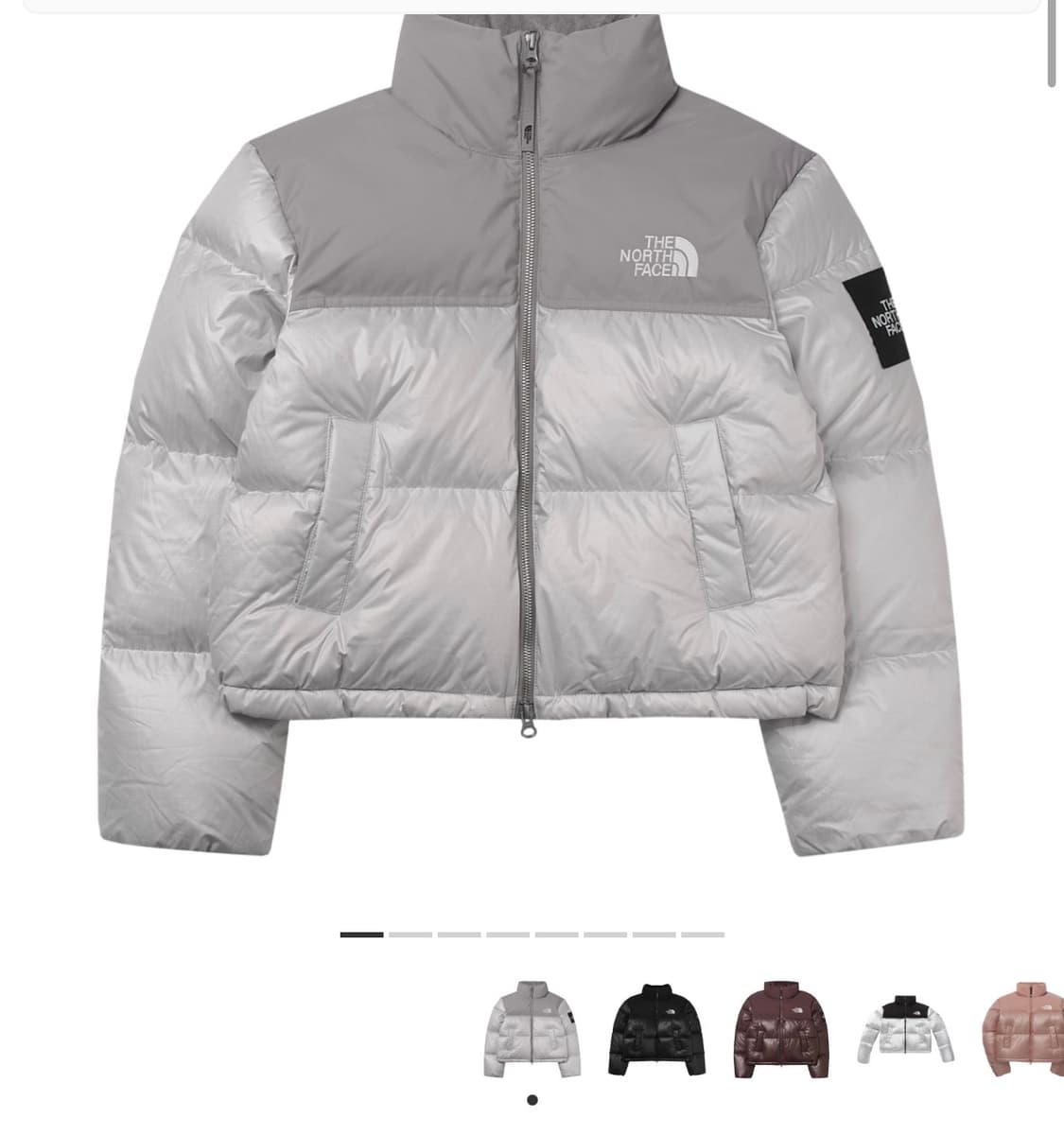 노스페이스 눕시 다운 실버 (S) 상품이미지1