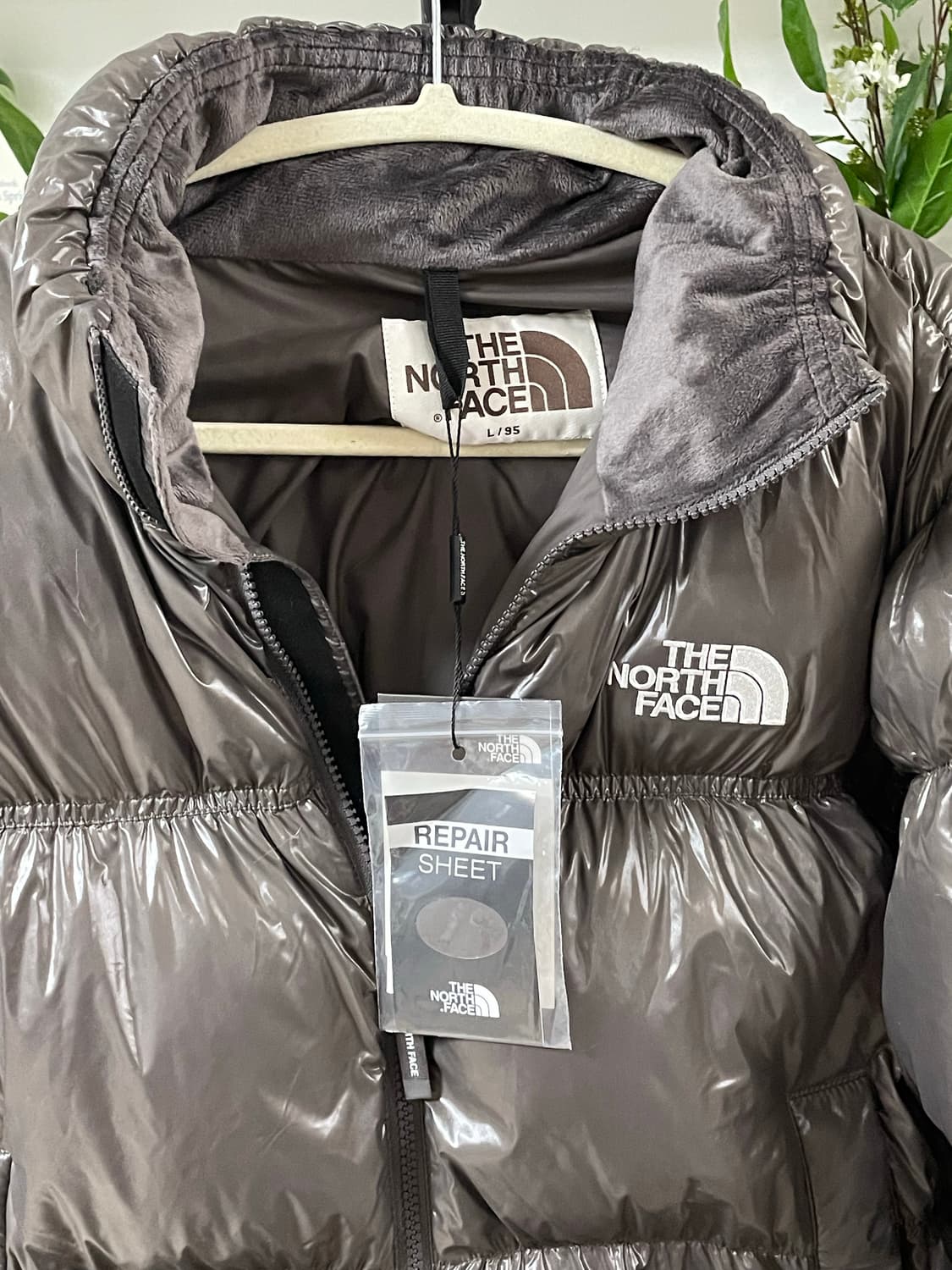 노스페이스 패딩 눕시 엘라다운 상품이미지3