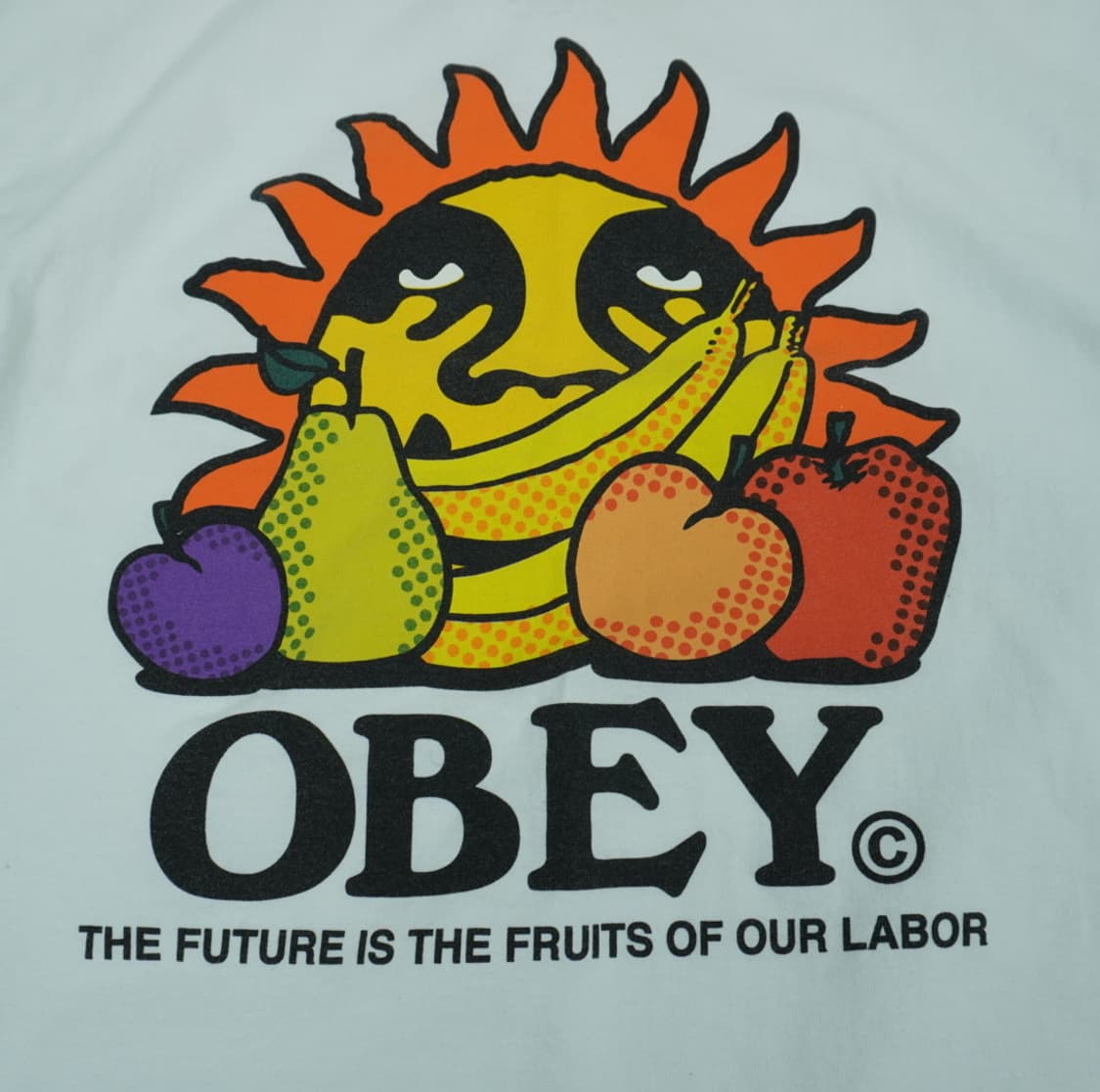 OBEY 오베이 그래픽 반팔 | 상태사진확인 상품이미지8