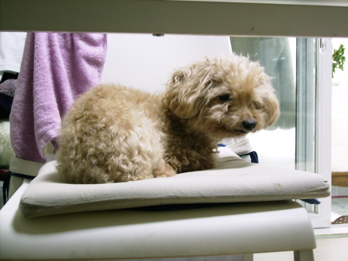 Pentax Optio E10 작례 o 상품이미지6