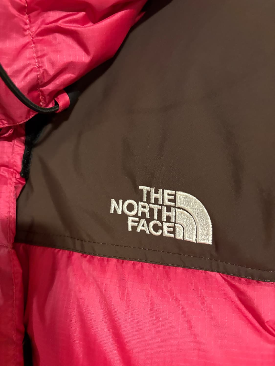 노스페이스 써밋 700 윈드스토퍼 구스다운 패딩 상품이미지2