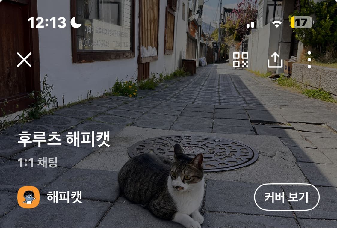 Reebok 리복 로고 후드티 M 상품이미지6