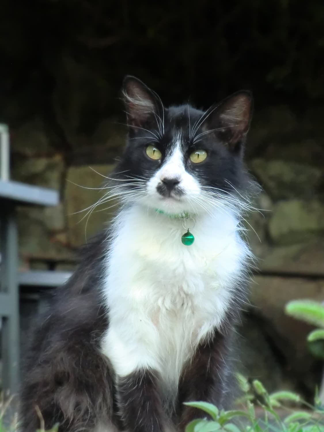 🖤츄 디카📸 카시오 엑슬림 H15 블랙 ✨  상품이미지7