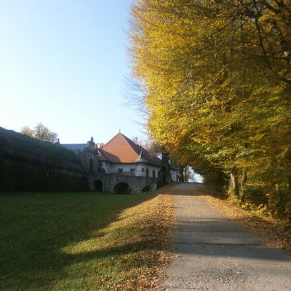 🎀 [한국어지원] 올림푸스 VG110 실버 판매합니다 ✨ 상품이미지7