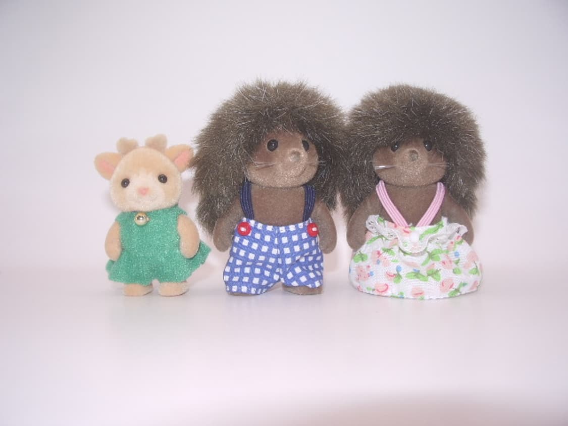 펜탁스 옵티오 S50 실버 📸 감성 빈티지 디카 / 내장메모리 촬영 상품이미지3