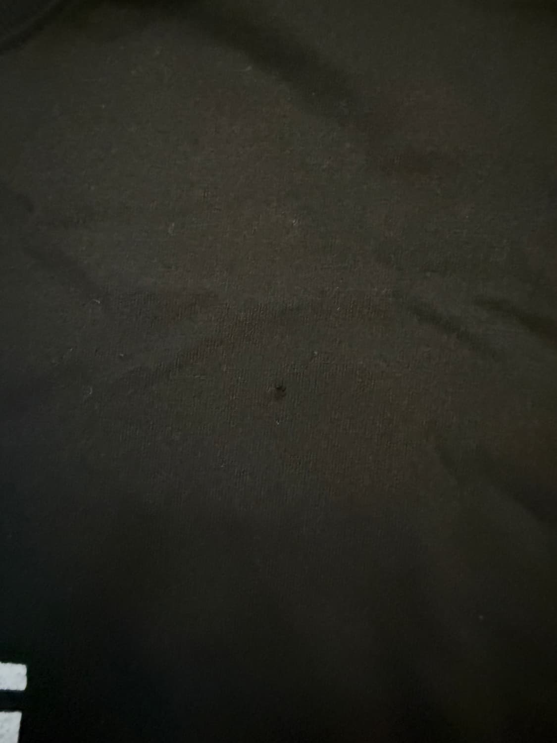 [L] Firty 반팔 상품이미지2