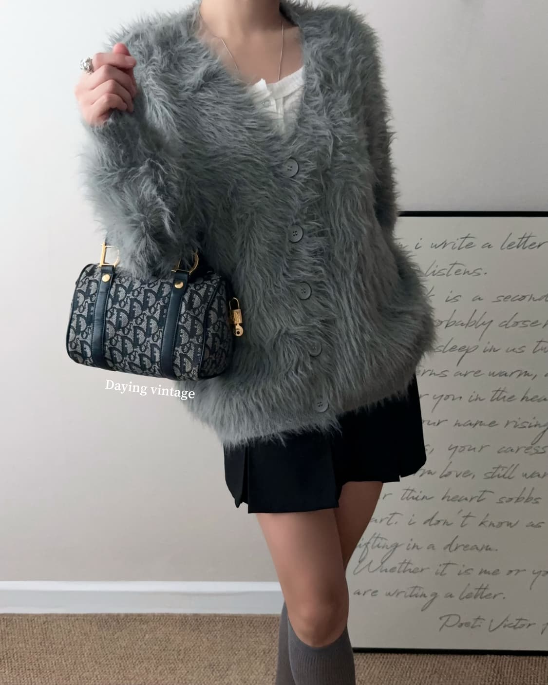 디올 오블리크 미니 보스턴백 20 상품이미지4