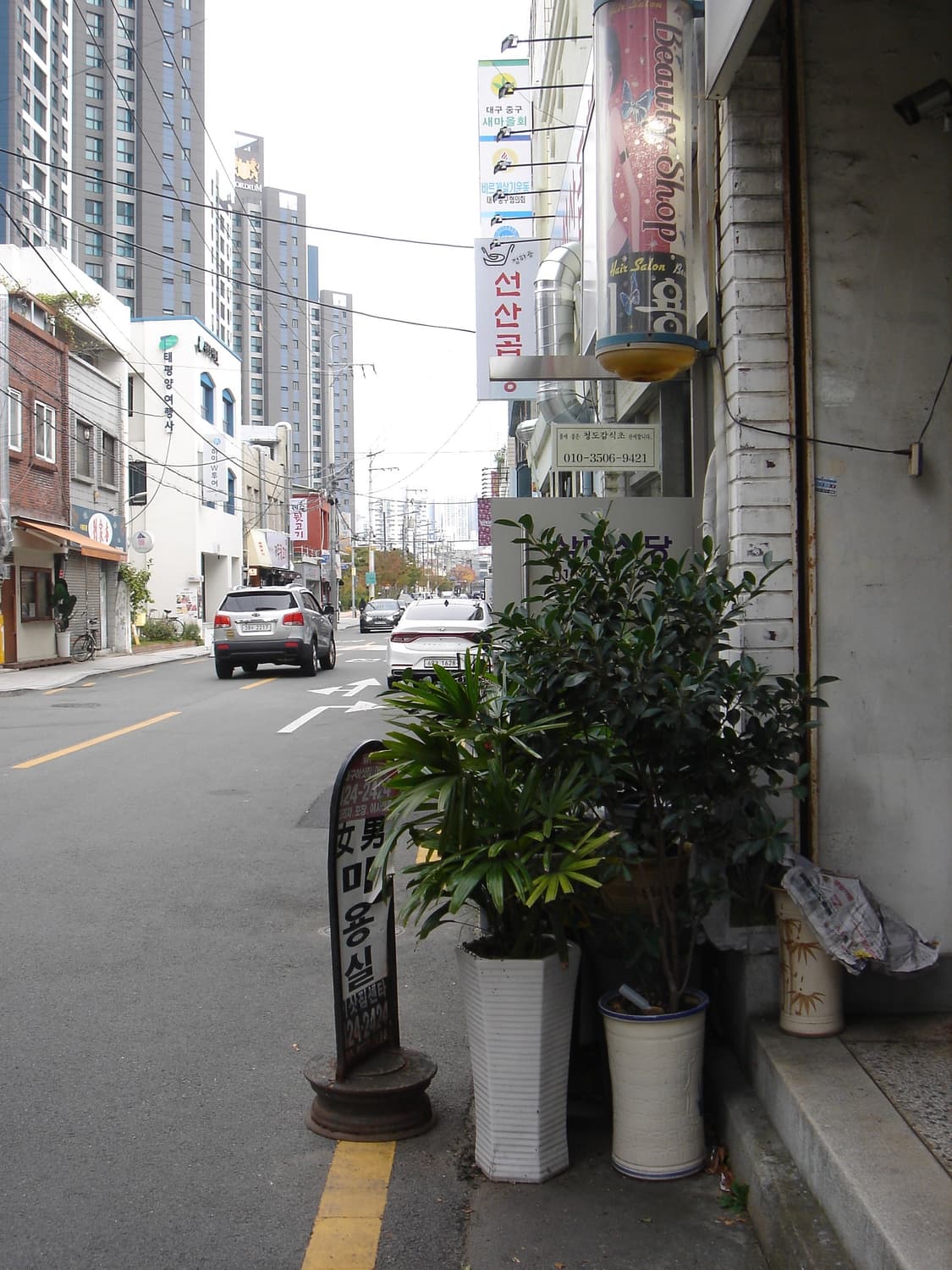 소니 사이버샷 DSC M2 - 사진 있음  상품이미지6