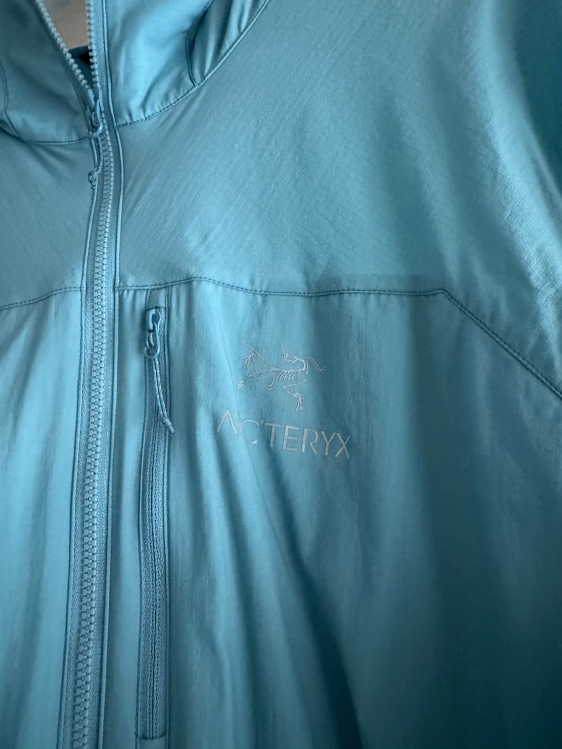 (L)아크테릭스 스쿼미시 후디 솔레스 상품이미지2