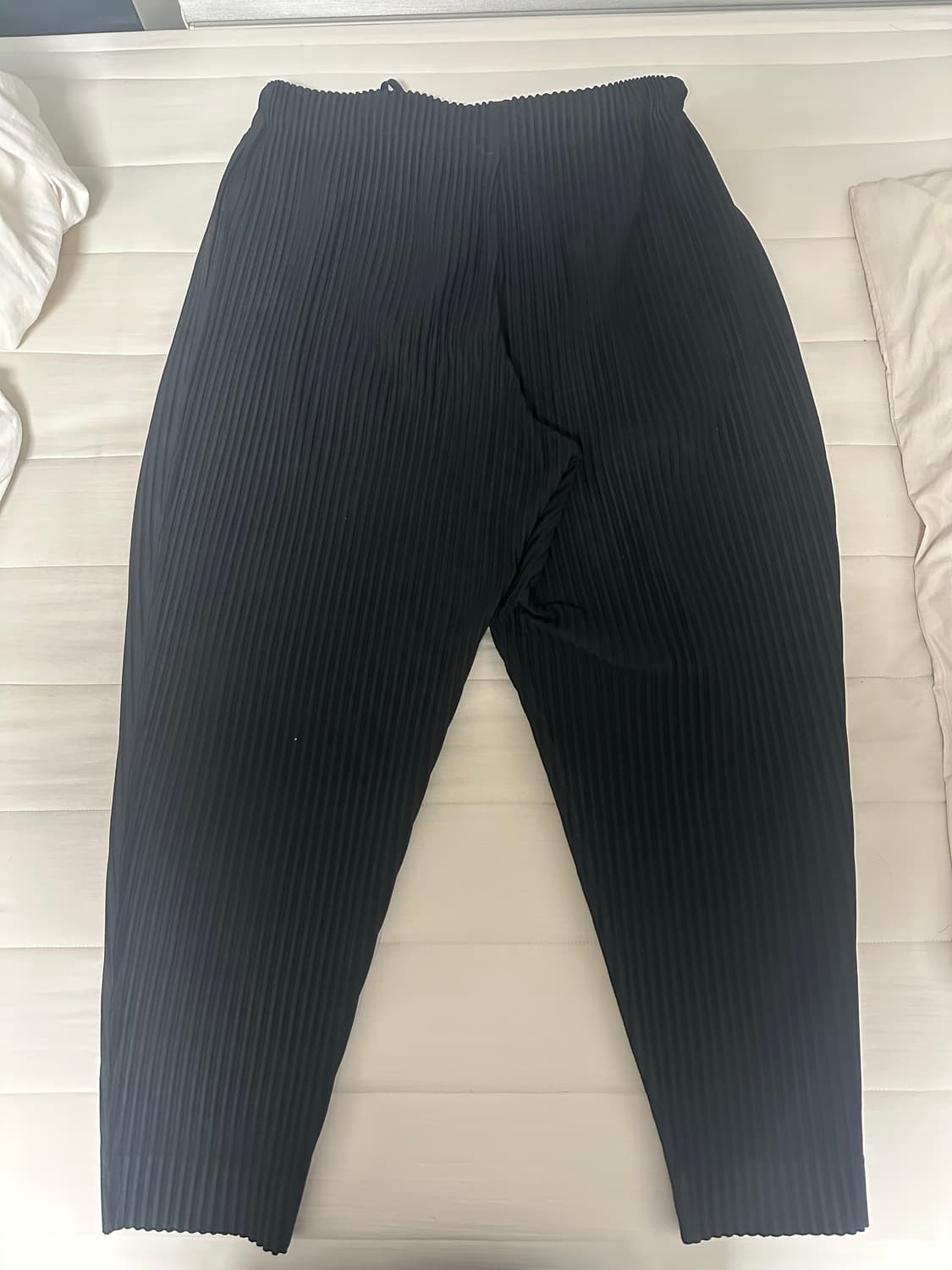 이세이미야케 플리츠 바지002 상품이미지2