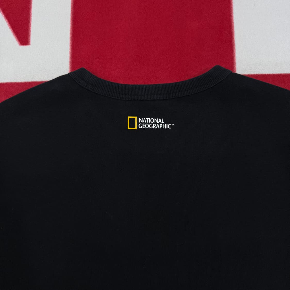 내셔널지오그래픽 맨투맨 3XL  상품이미지4