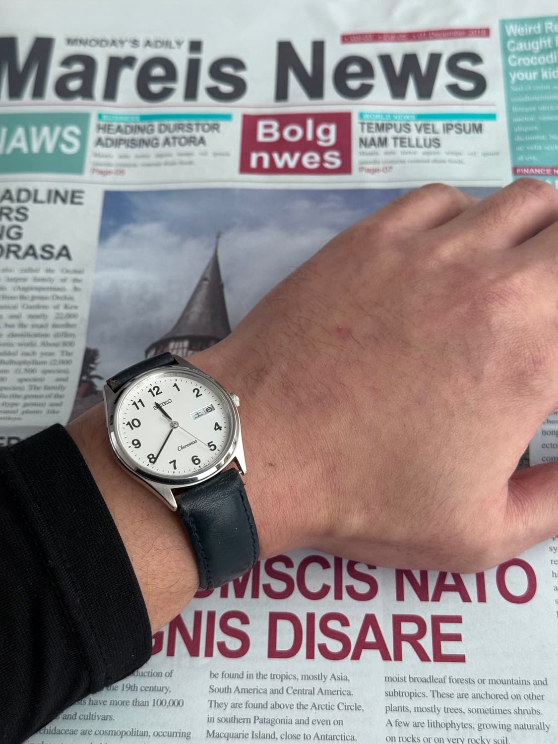 세이코 Seiko 크로노스 래더 상품이미지4