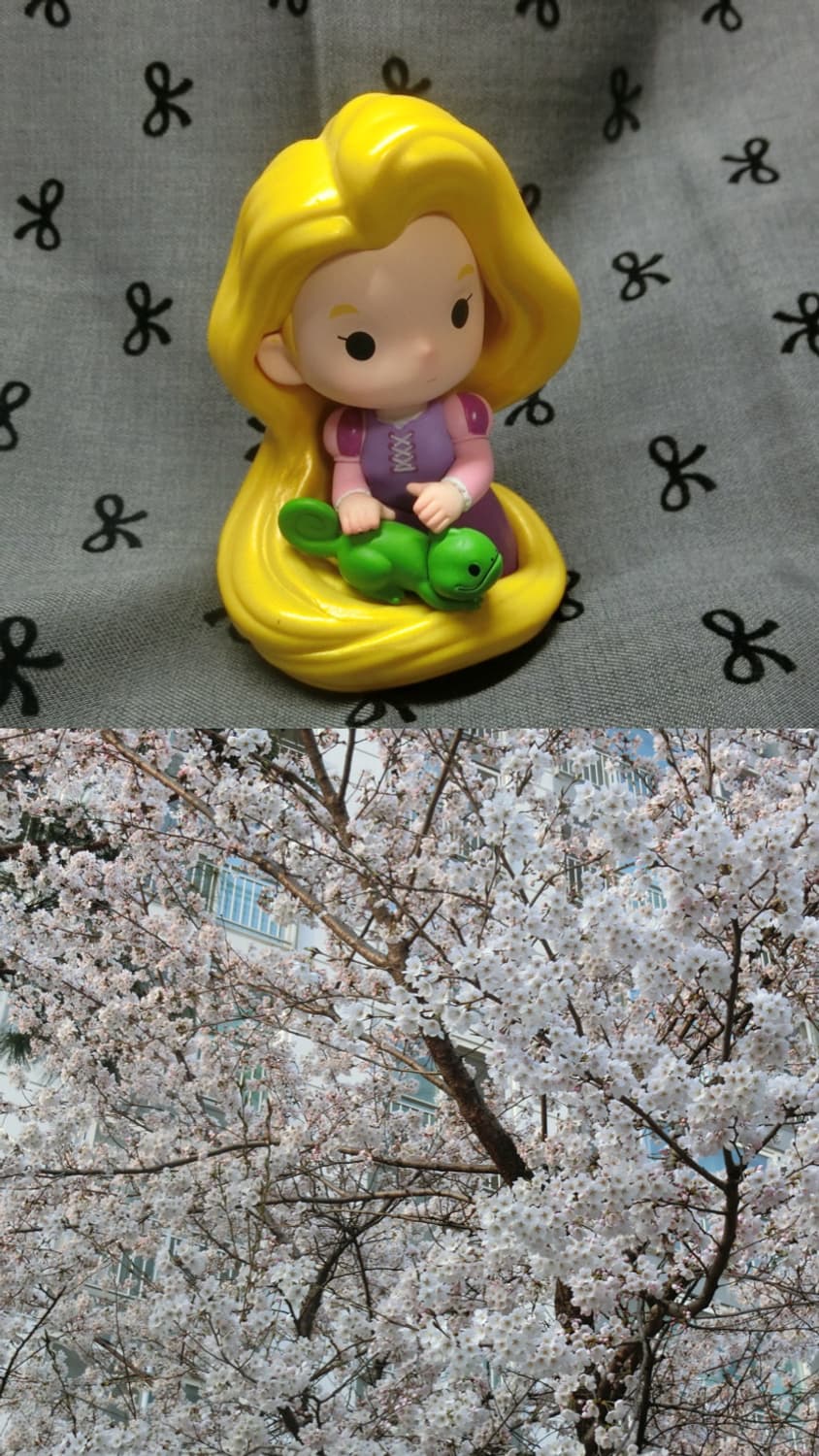 풀박,희귀-카시오 exilim zr60 민트디카 상품이미지8