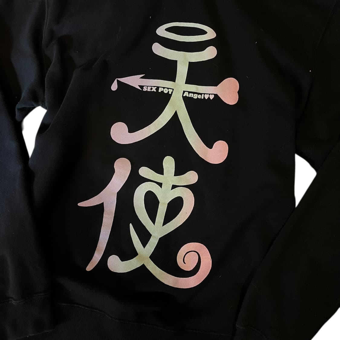 Sexpot Revenge 섹스팟리벤지 하트날개프린팅 후드집업 펑크y2k 상품이미지6