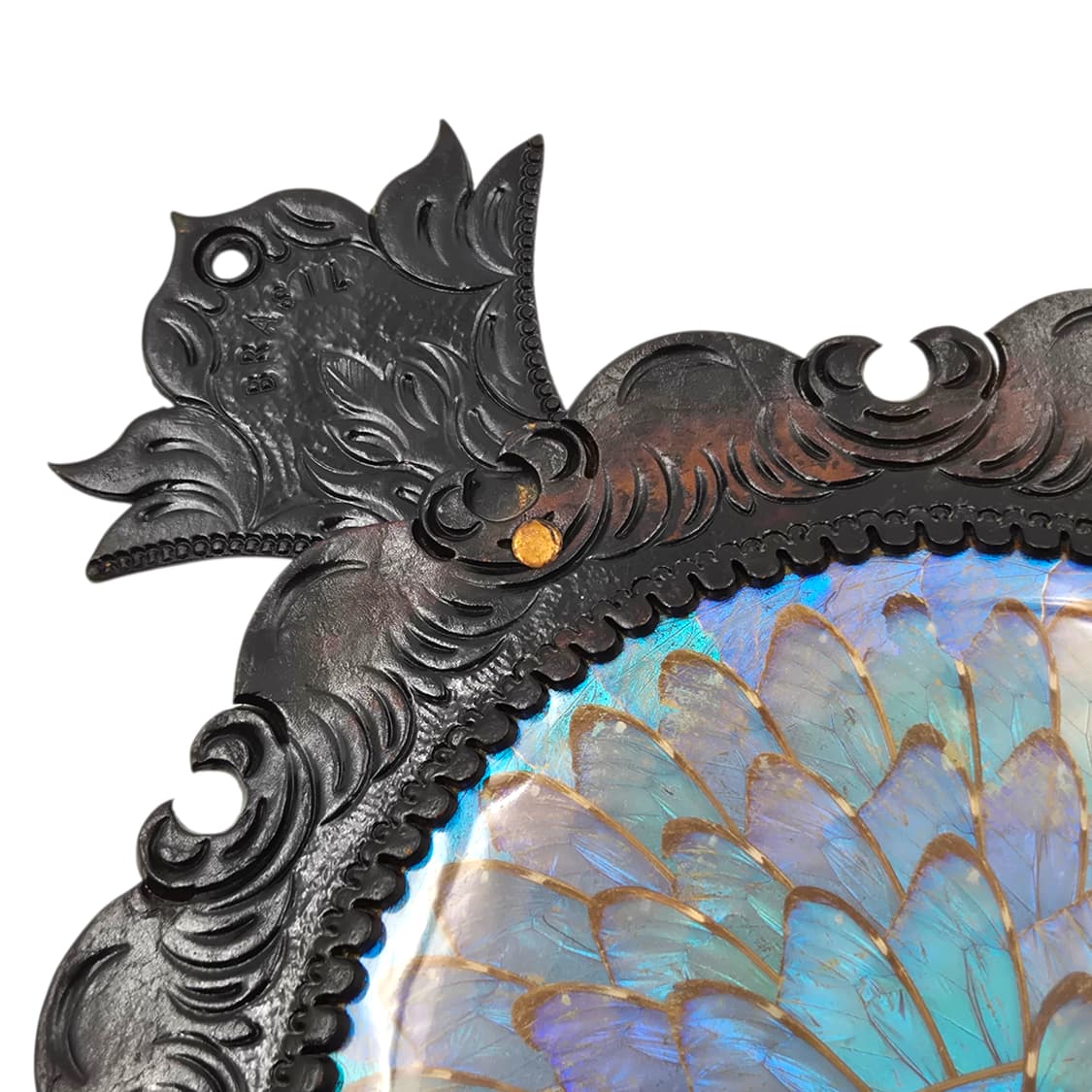 60s 브라질 모르포 나비 레더 아트 대형 벽걸이 상품이미지2