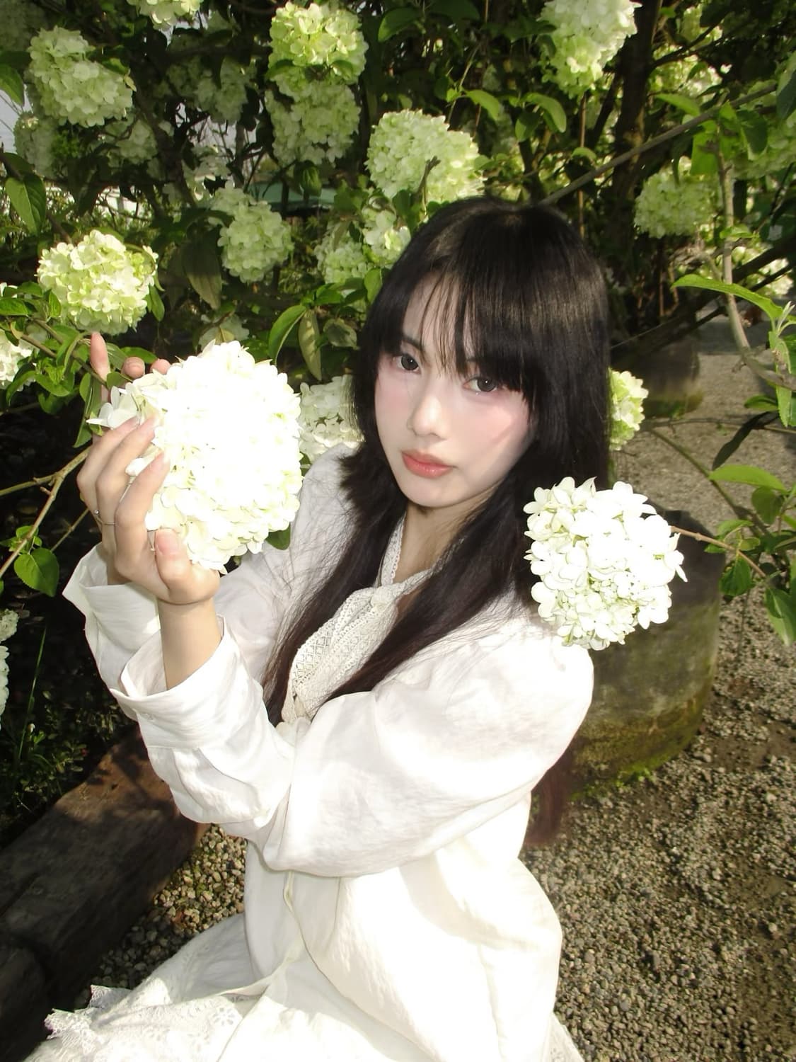 [*희귀!🔥/작례⭕️] 캐논 IXY150 (IXUS160) 빈티지 디지 상품이미지5