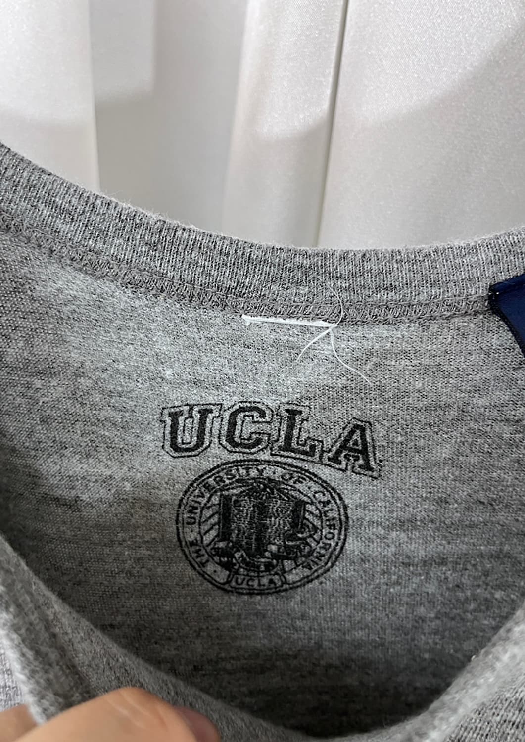 UCLA 상품이미지4