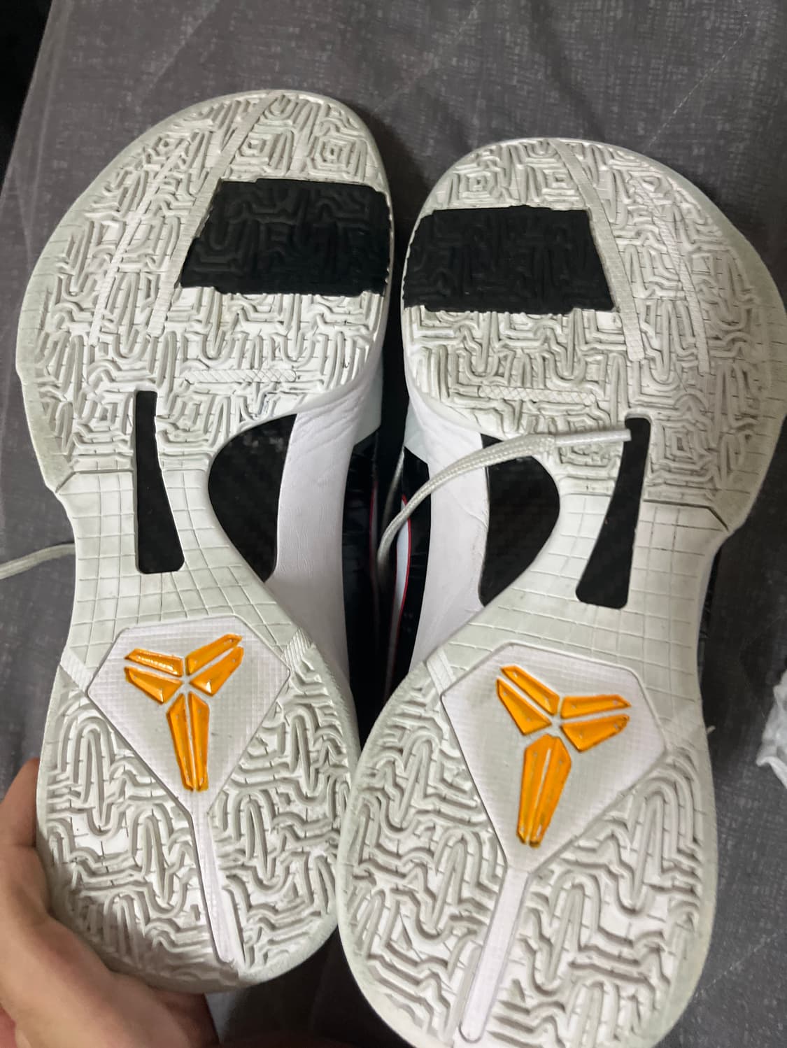 (275) 코비 5 얼터네이트 브루스 리 kobe 5 상품이미지4