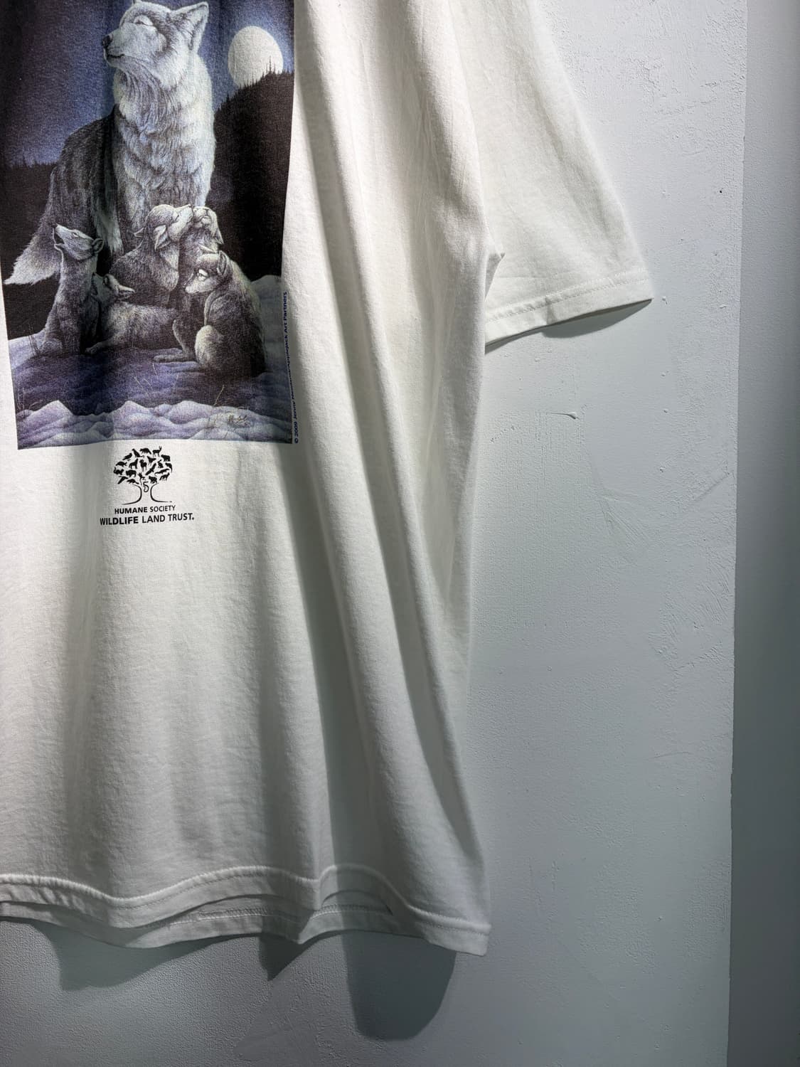 만원샵) Gildan 길단 프린팅 반팔티 L C268 상품이미지5