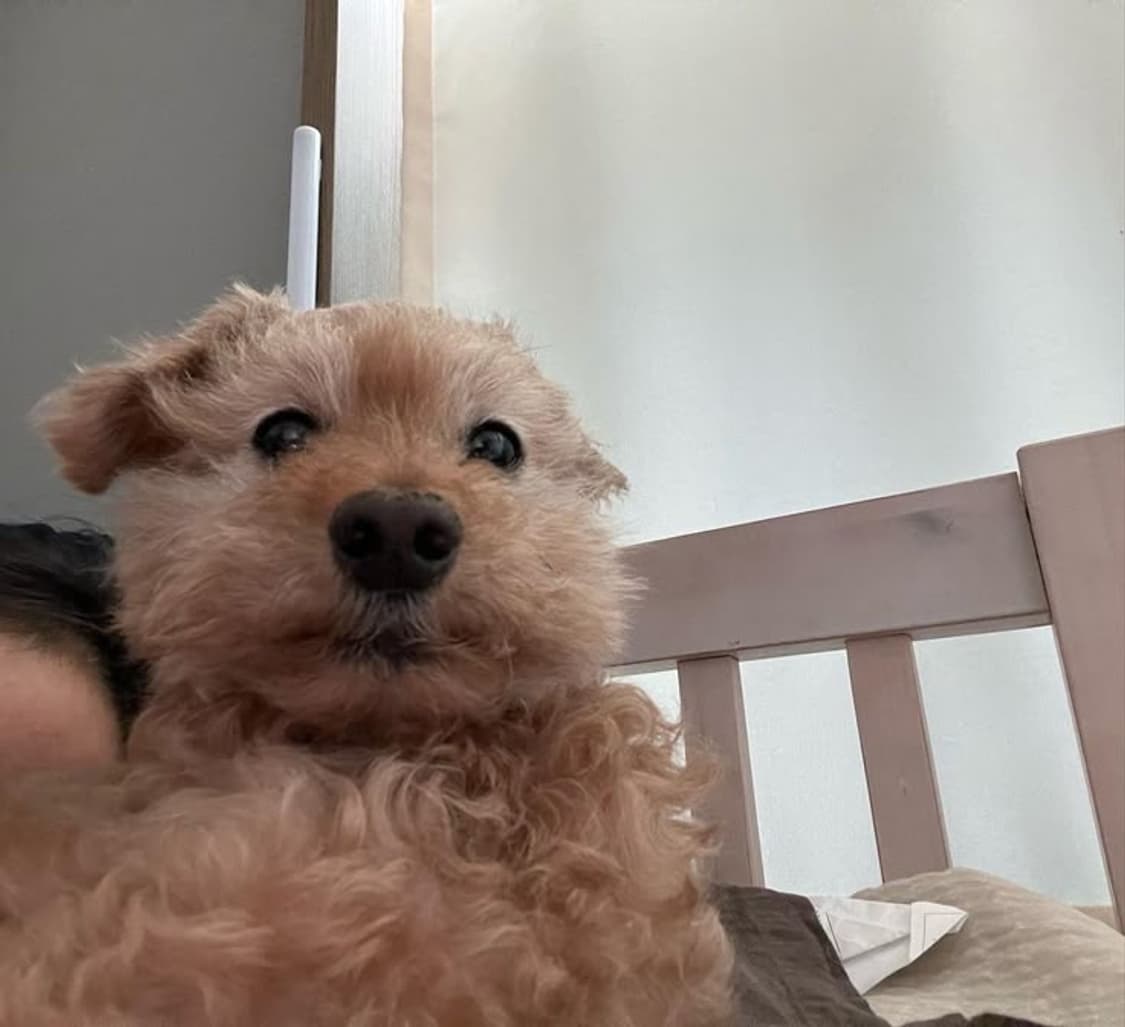 결제창 상품이미지1