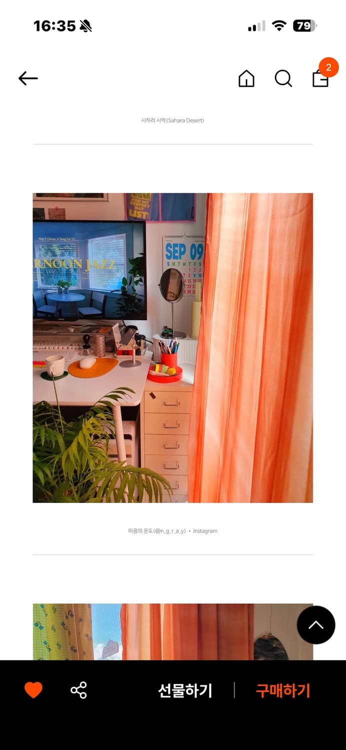 에비히 시로코 오렌지 상품이미지3