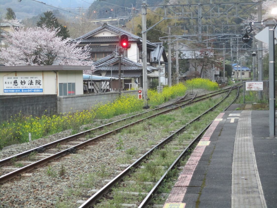 캐논 익서스 Canon IXUS 175 레드 상품이미지5