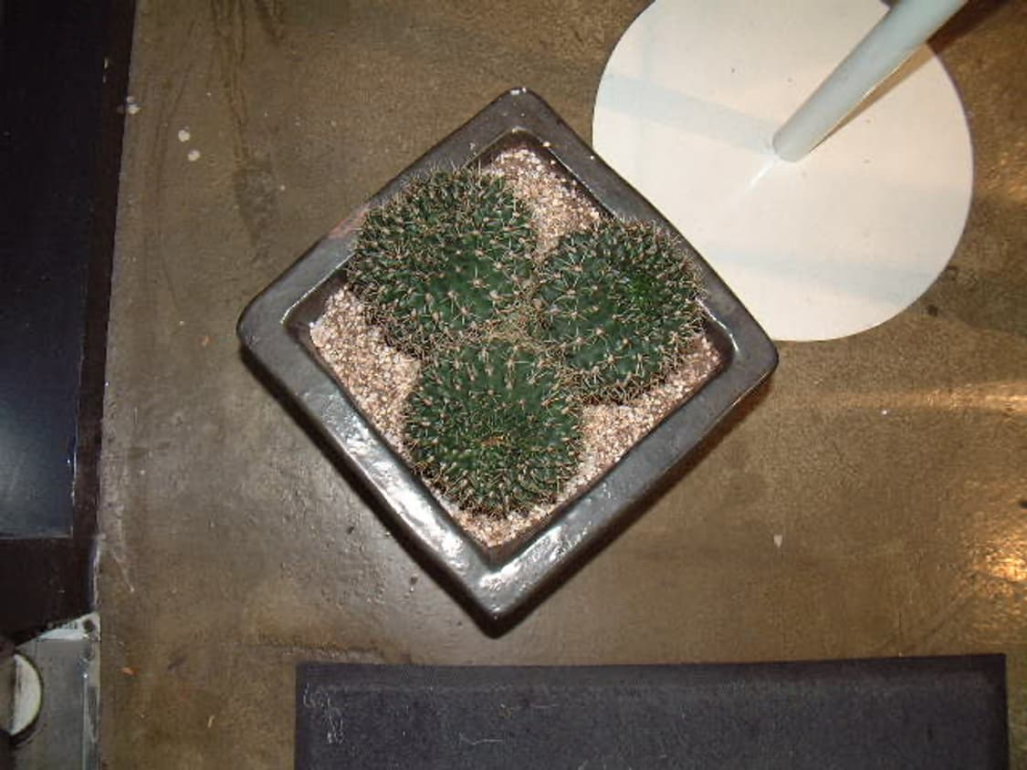 박스O/new배터리)후지필름 파인픽스 4900z 빈티지디카 상품이미지10