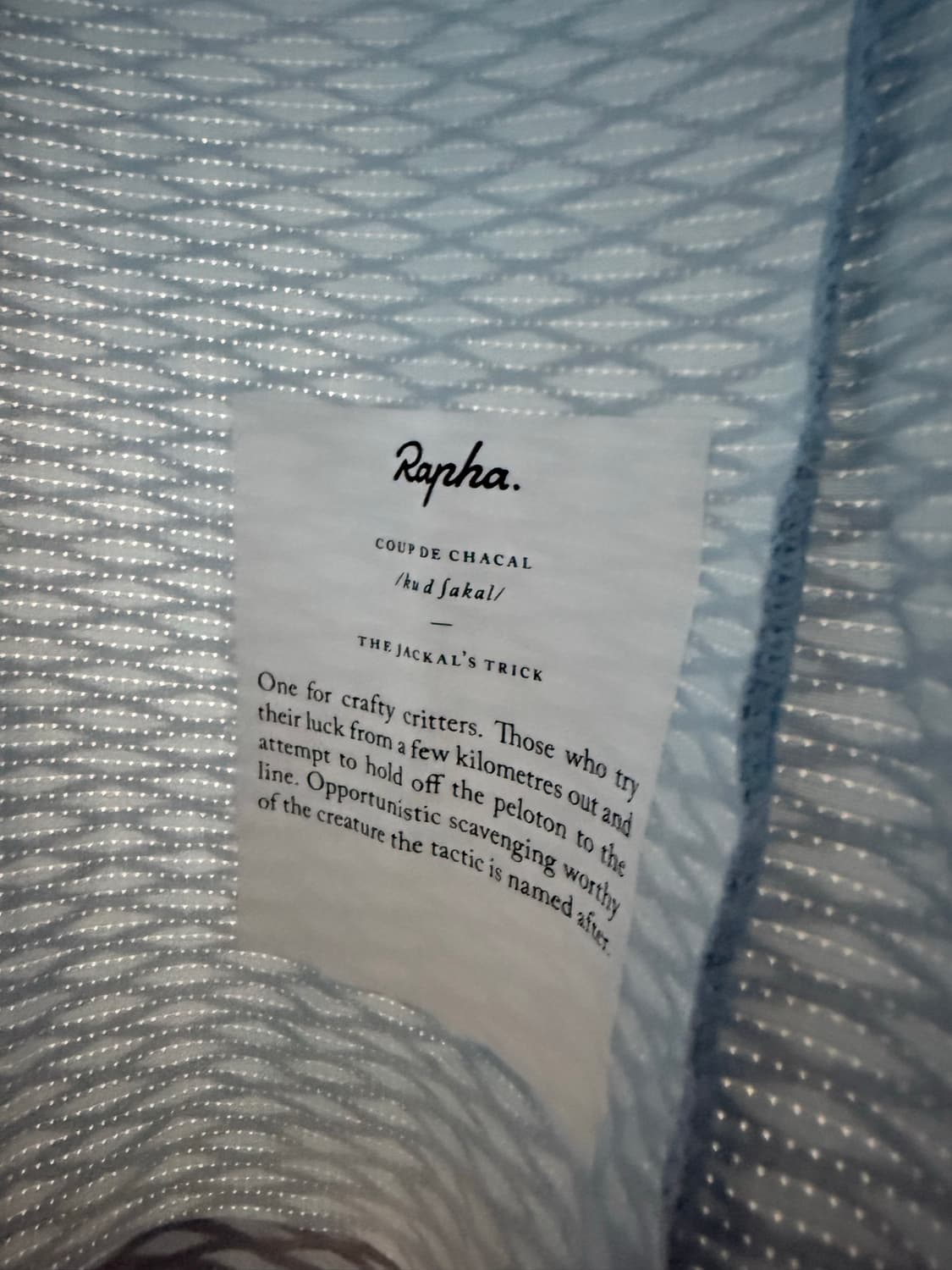 라파Rapha xxs 상품이미지5
