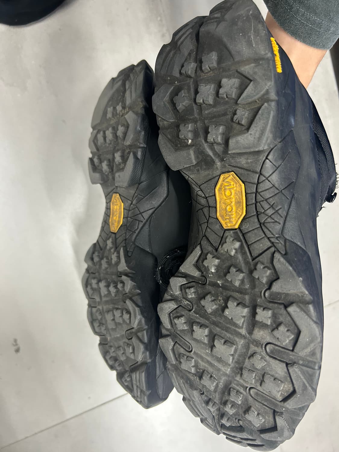 로아 카타리나 43 상품이미지2