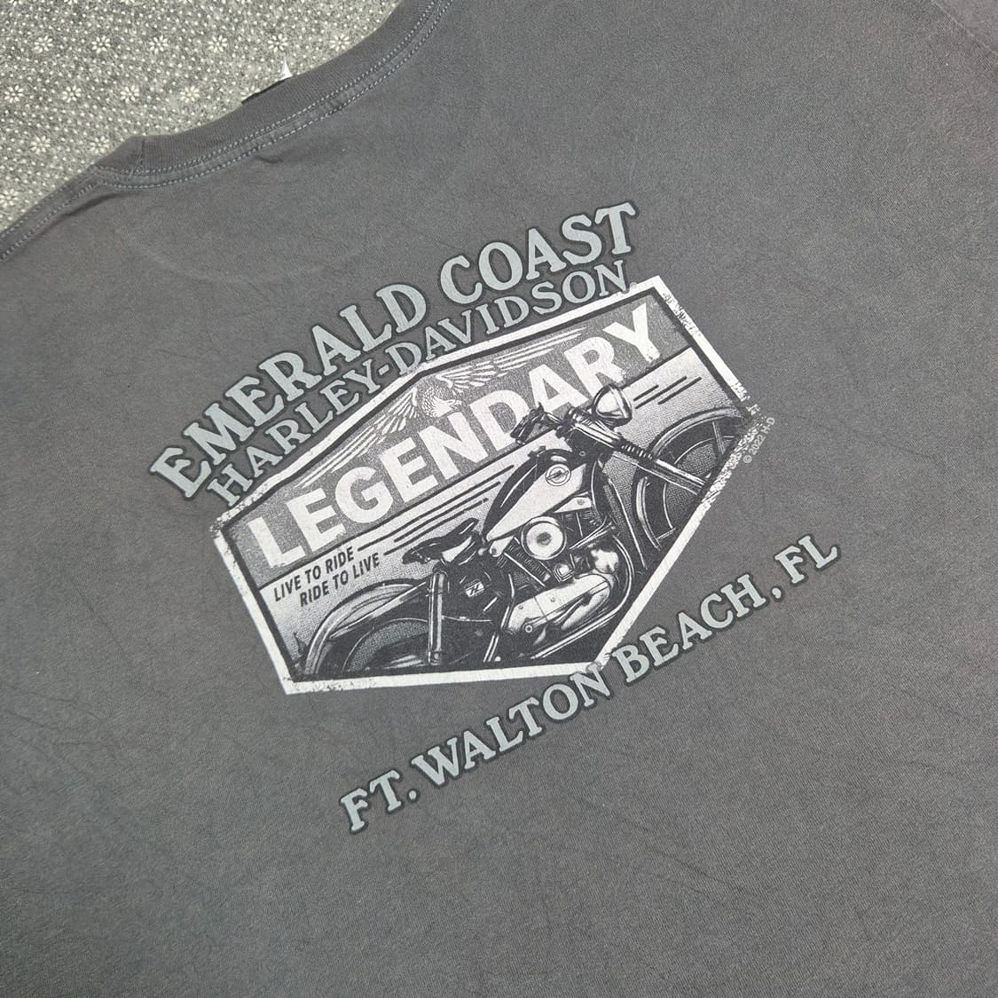 [XXL]할리데이비슨 에메랄드 코스트 딜러샵-642 상품이미지4