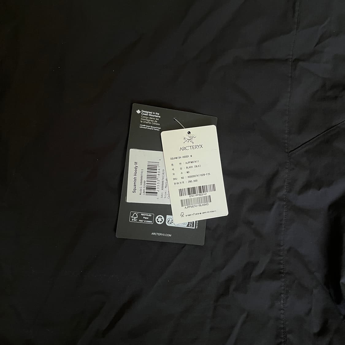 아크테릭스 스쿼미시 후디 M M/M 블랙 상품이미지6