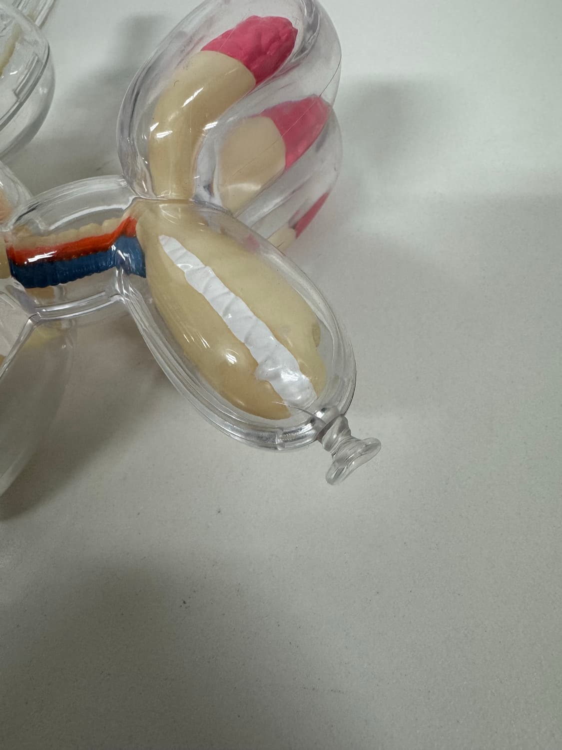 제이슨프리니 제프쿤스 4d마스터 벌룬독 아트토이 라지,스몰 세트 상품이미지6