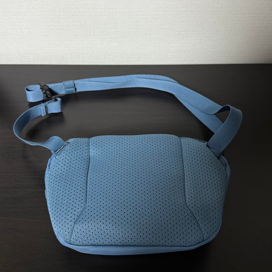 아크테릭스 맨티스1 웨이스트백 스톤워시 상품이미지2