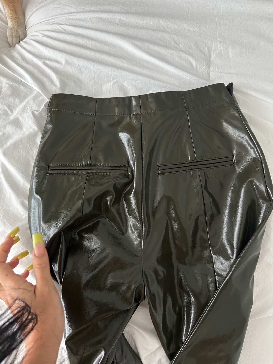 Acne pants 상품이미지6