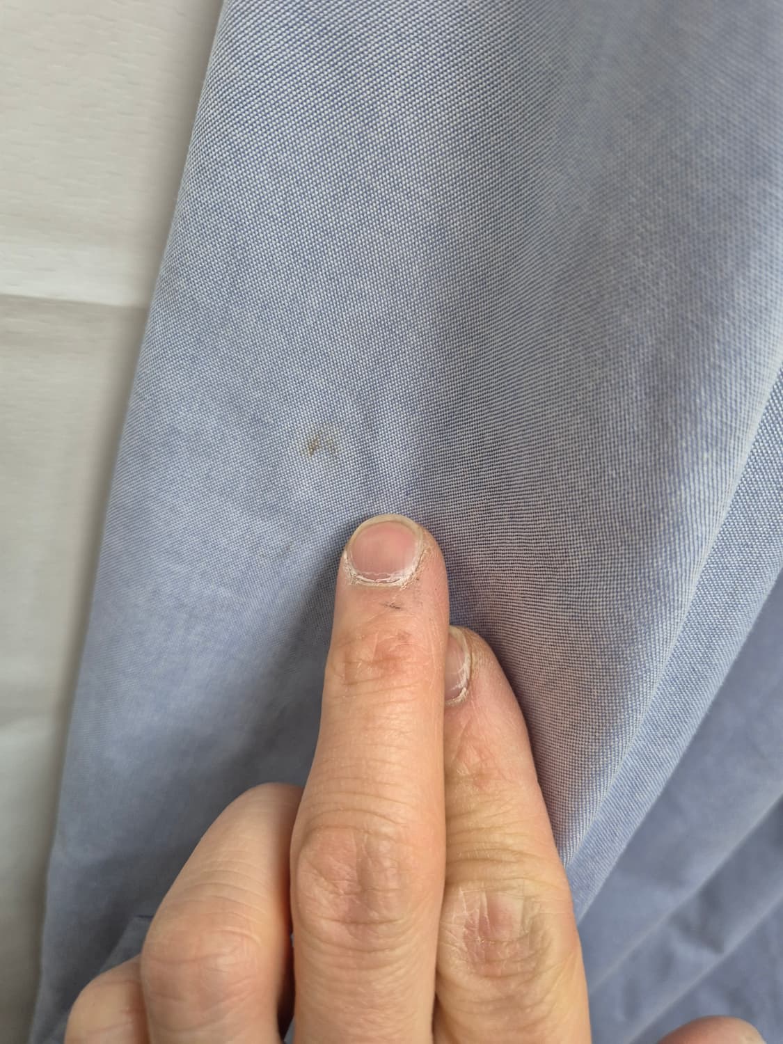 폴로 셔츠 상품이미지5