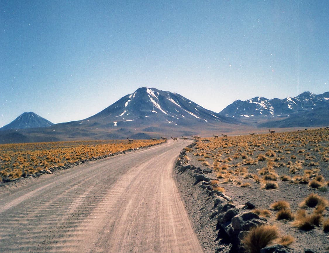 작례O 국내유일 야시카 72-E 하프카메라 필름카메라 빈티지 필카 상품이미지4