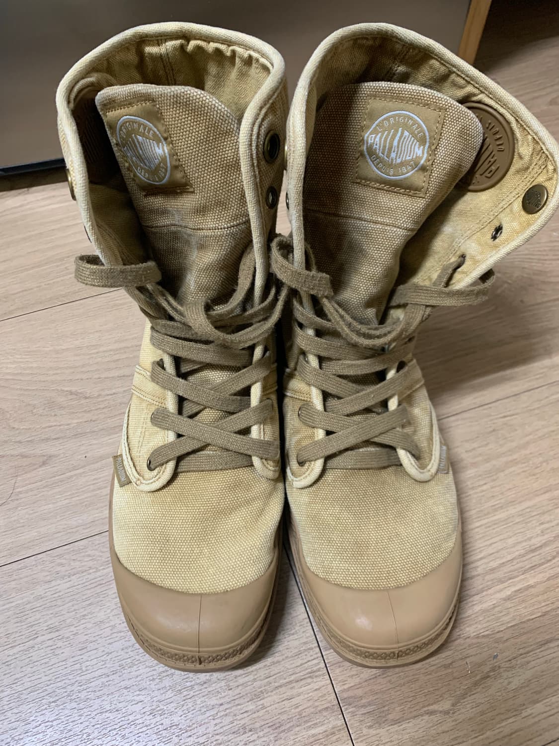 팔라디움 팜파하이 사막화 판매 합니다 상품이미지3