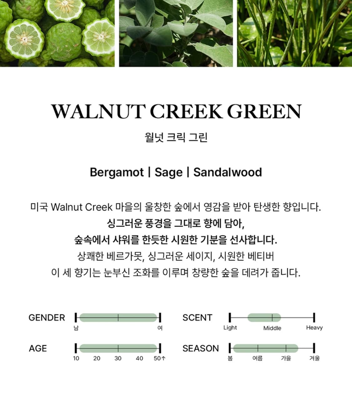 비비앙 오드퍼퓸 월넛크릭그린 EDP 50ml 상품이미지4