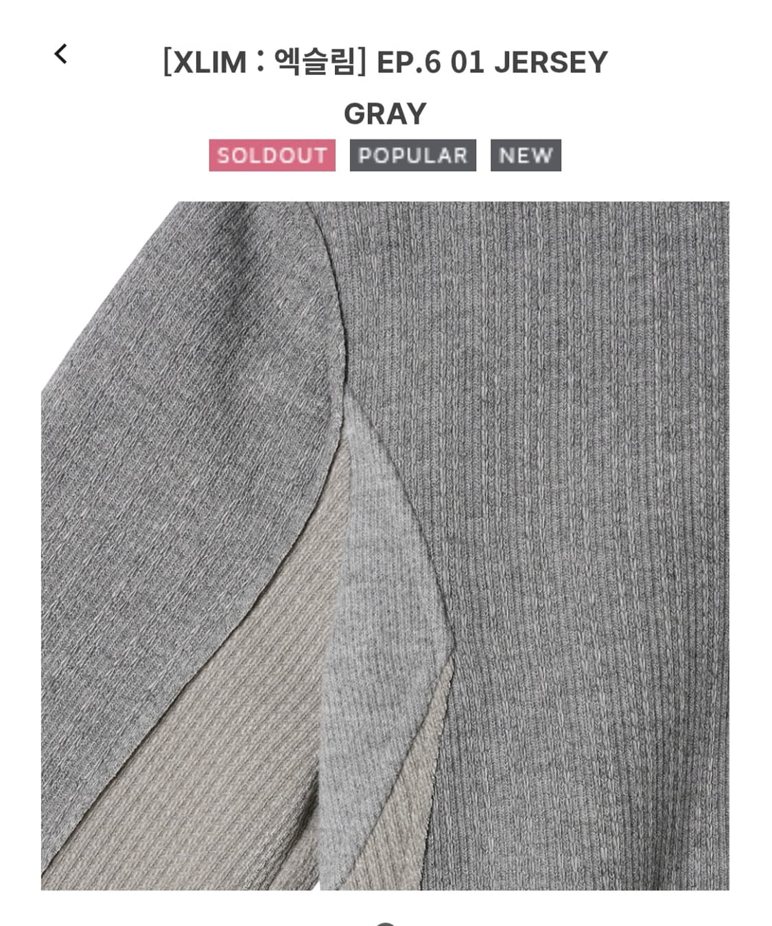 XLIM EP6 JERSEY GRAY 상품이미지4