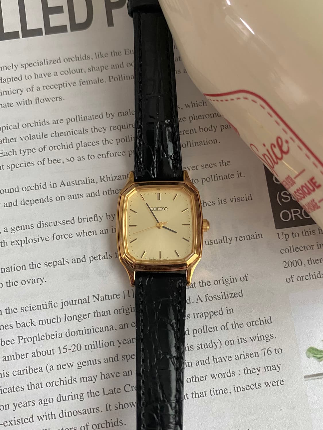 Seiko 스퀘어 골드 쿼츠 상품이미지5