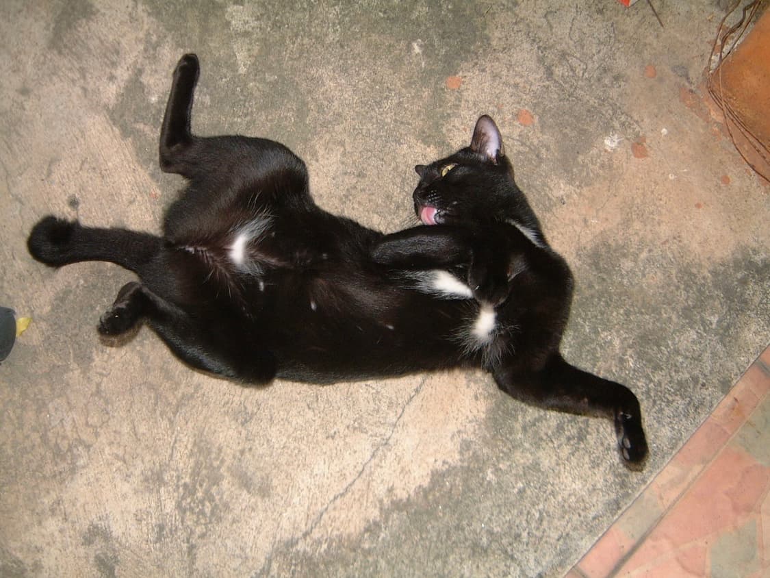 사연품3. 후지필름 파인픽스 4700z 상품이미지3