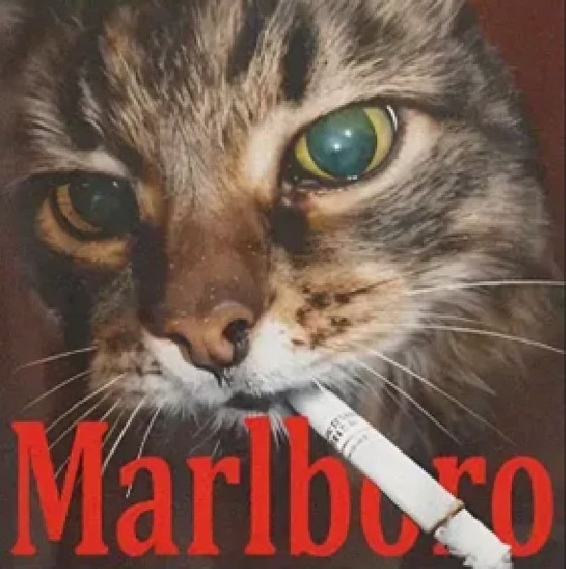 결제 상품이미지1