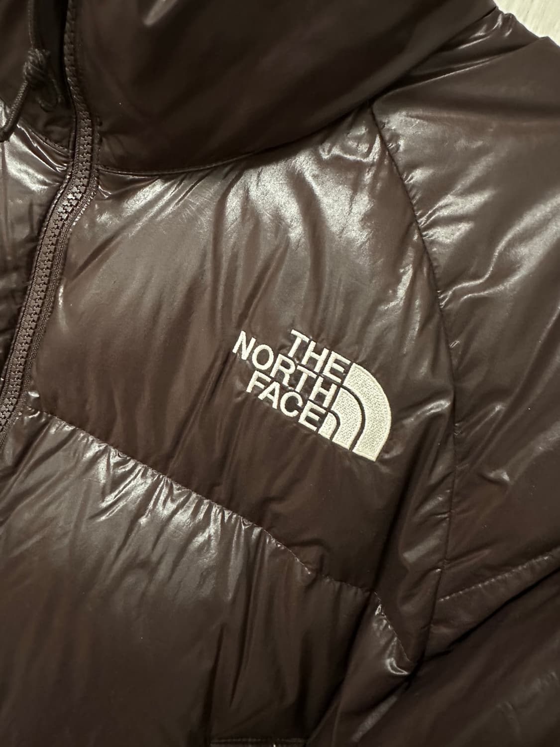 노스페이스 화이트 라벨 네오 퍼피 다운 자켓 브라운 유광 상품이미지3