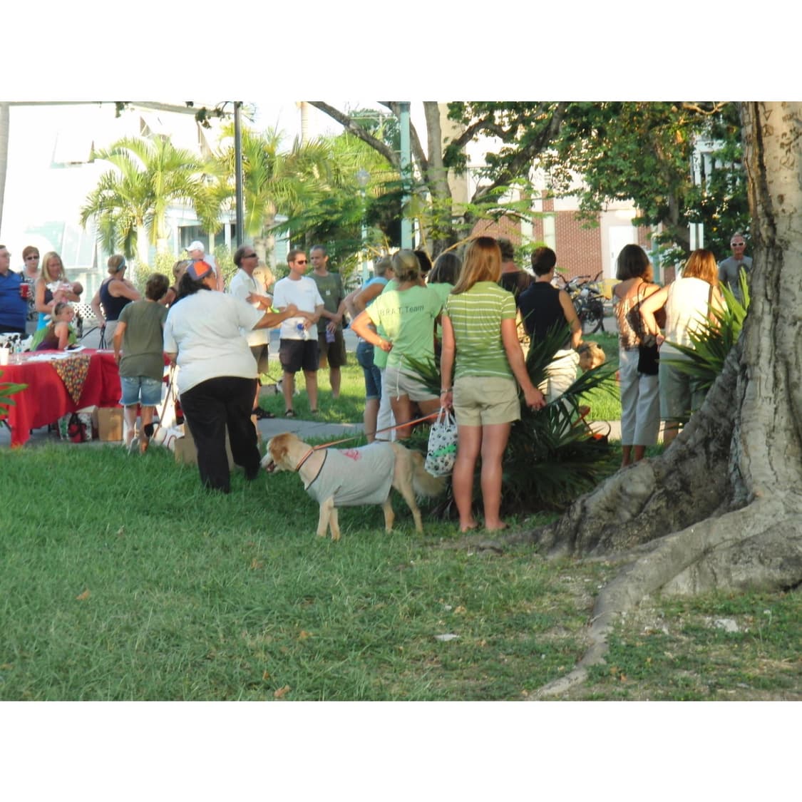 디카 casio ex fs10 (작례 0) 상품이미지3