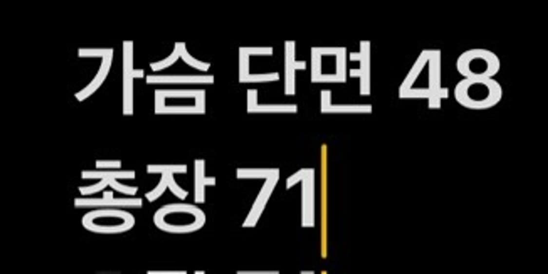 [정품/95,M] 나이키 ACG 로고 반팔티셔츠 블루 b8 상품이미지6